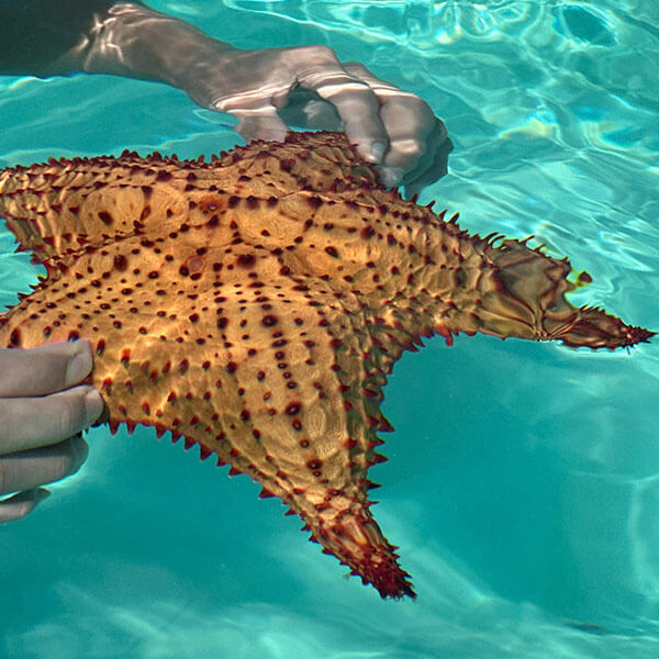 Juan Dolio, República Dominicana